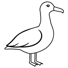 Minimalist Albatross Line Art Vector