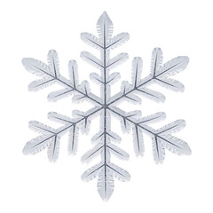 Frosted Silver Snowflake Decoration