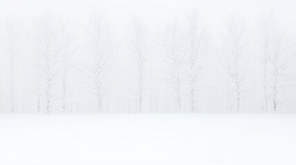 Fototapeta premium Bare winter trees standing in a row across a snow covered field disappearing into thick white fog.