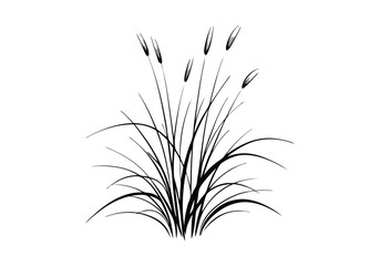 Silhouette Design of a Grass Bundle with Tall Natural Blades in a Minimalist Botanical Style