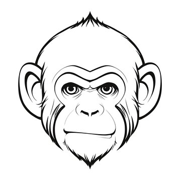 Vector illustration of a monkey head, showcasing its expressive features and playful nature. 