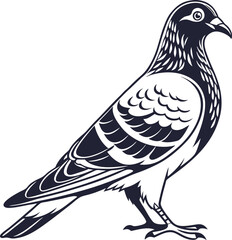 Pigeon Bird Silhouette Vector Illustration, Best Pigeon Icon