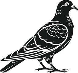 Pigeon Bird Silhouette Vector Illustration, Best Pigeon Icon