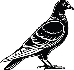 Pigeon Bird Silhouette Vector Illustration, Best Pigeon Icon