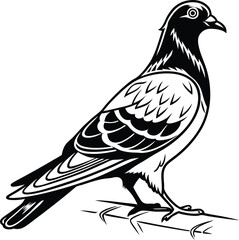 Pigeon Bird Silhouette Vector Illustration, Best Pigeon Icon