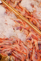 Fresh shrimp displayed on ice at local market in summer