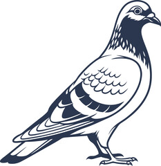 Pigeon Bird Silhouette Vector Illustration, Best Pigeon Icon