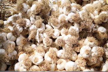 Fresh garlic heads for sale at a vibrant farmers market