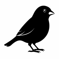 Minimalist Black Canary Silhouette Vector