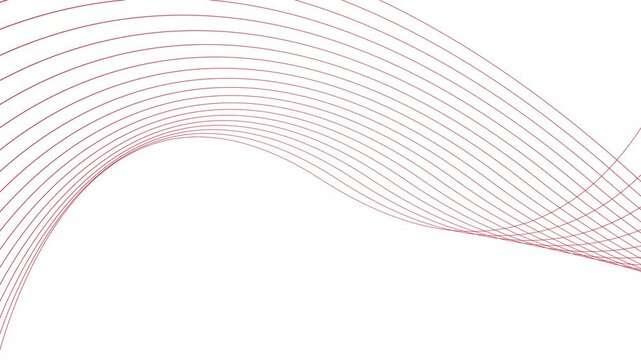 Abstract waves lines minimal elegant red color animation. White background 4k video Seamless looping.