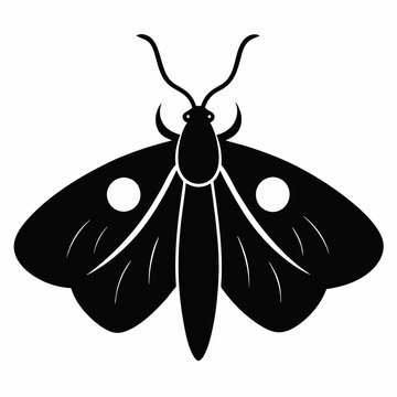 black moth with white spots clip art preview