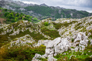 Route to Covadonga, Lakes, Mountains, Cangas de Onis, Asturias, Picos de Europa, Spain