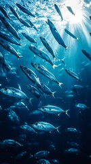 Fototapeta premium School of Fish Swimming in Sunlit Ocean Water