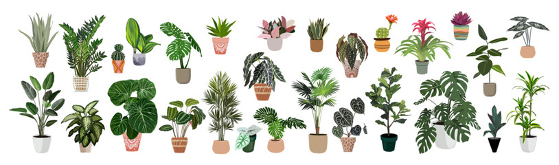 Different house plants set. Monstera, yucca, dracaena, palm, philodendron, alocasia indoor potted plants collection. Vector realistic illustrations isolated on transparent background © Creative_Juice_Art