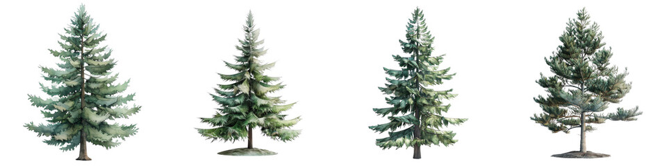 Fototapeta premium Tall pine tree in a minimal 3D watercolor style with stitched texture for artistic and natural design projects