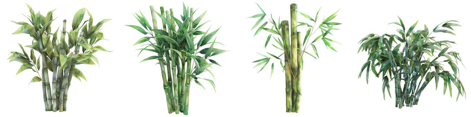 Fototapeta premium Minimalist 3D Watercolor Bamboo Cluster Design in Soft Shades for Modern Decor and Artistic Projects