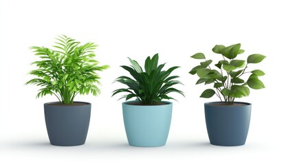 Three potted plants with green foliage in blue pots