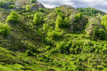Asturias, a green paradise, on the way to Covadonga and its lakes