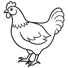 Minimalist Chicken Line Art Vector