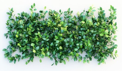 Vibrant Lush Green Foliage As A Background Element With Nature Theme Design. Lush green foliage wall. Green plant backdrop for summer. Wall with hedge and plant. Fresh green wall. Lush green foliage