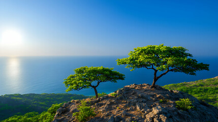 Obraz premium Two Lush Green Trees on Rocky Cliff Overlooking Calm Ocean at Sunset