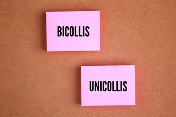 Types of uterine didelphys is bicollis and unicollis. menopause symptom concept. Uterine didelphys is a congenital uterine anomaly that consists of the formation of two small uteruses
