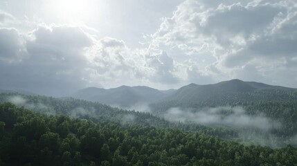 Misty mountain range, lush forest, scenic view, aerial perspective