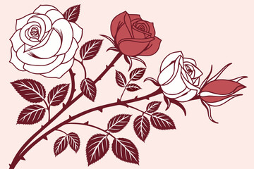 New York roses in classic red and white on a soft pink background.