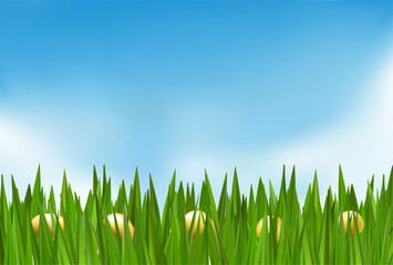 Golden Easter egg basket in green grass field podium. Ester vector background spring 3d render. Chocolate hunt happy meadow decoration banner. Weekend sky card design. Sunny day garden gift concept