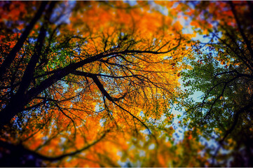 autumn leaves on the tree