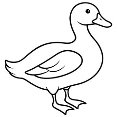 Minimalist Duck Line Art Vector