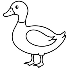 Minimalist Duck Line Art Vector
