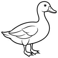 Minimalist Duck Line Art Vector
