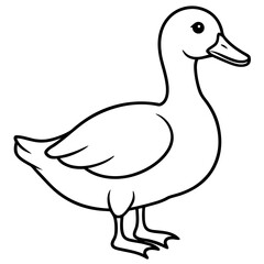 Minimalist Duck Line Art Vector