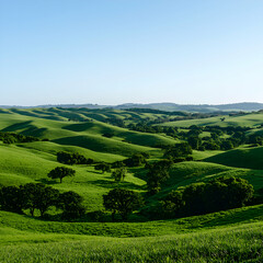 Obraz premium Vast Green Rolling Hills Under a Bright Blue Sky