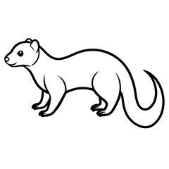Minimalist Ferret Line Art Vector