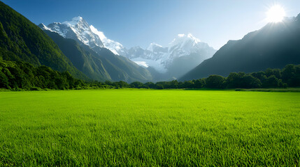 Obraz premium Vibrant Green Field and Majestic Snowy Mountains under a Sunny Sky
