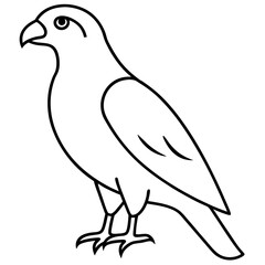Minimalist Hawk Line Art Vector