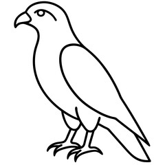 Minimalist Hawk Line Art Vector