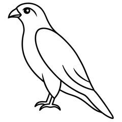 Minimalist Hawk Line Art Vector