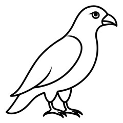 Minimalist Hawk Line Art Vector