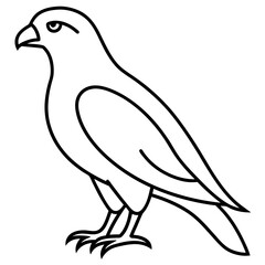 Minimalist Hawk Line Art Vector