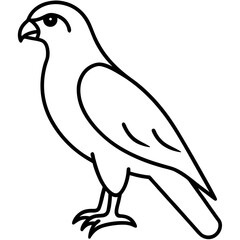 Minimalist Hawk Line Art Vector