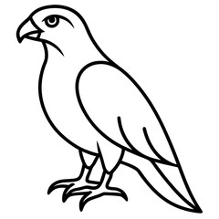 Minimalist Hawk Line Art Vector