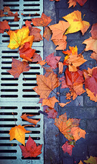 autumn leaves background