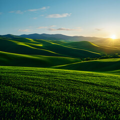Naklejka premium Vibrant Green Hills at Sunset