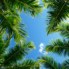 Vibrant Green Palm Fronds Under a Sunny Blue Sky