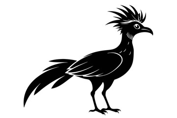 hoatzin  silhouette vector
