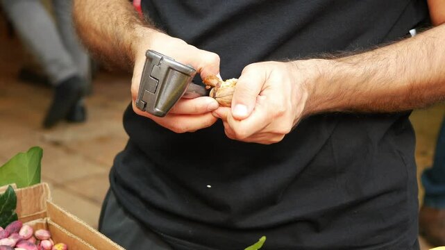 Person cracking a walnut with a nutcracker