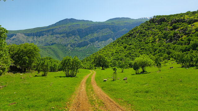 A winding dirt path leads through lush spring greenery and forested hills, beneath a clear blue sky in peaceful untouched nature.  
📍Zhivar, Hawraman Takht 